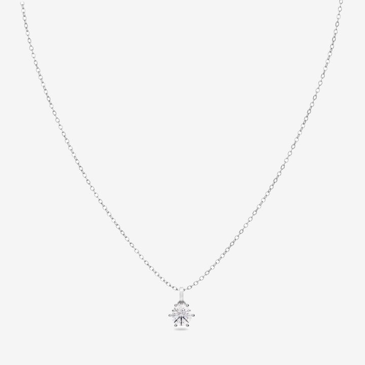 Crown halsband i blankt rostfritt stål med klar sten infattad i sex klor