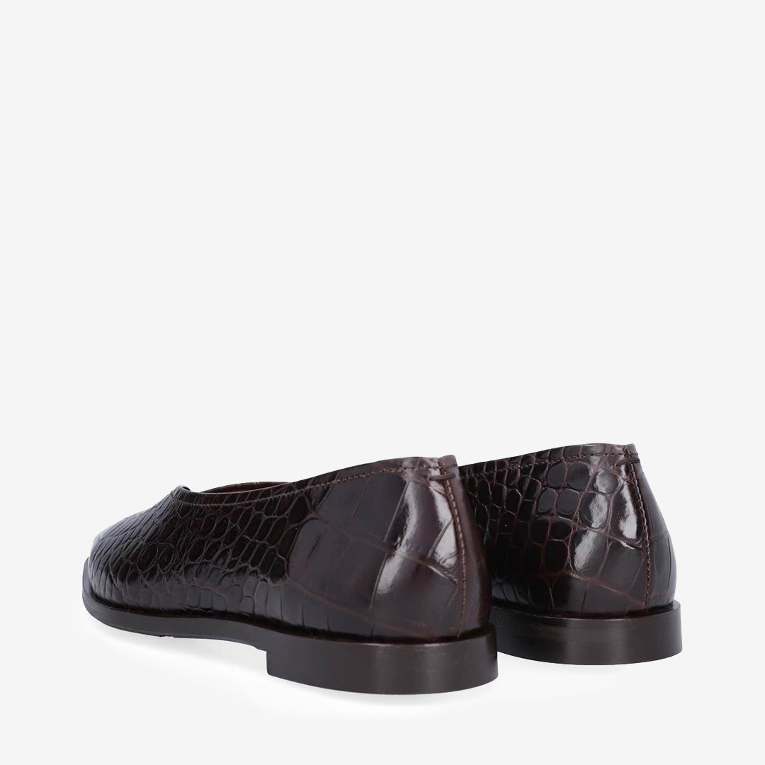 Brown kissa croco